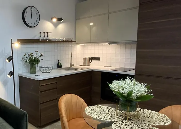 Alejos Apartmentai Apartament Druskieniki