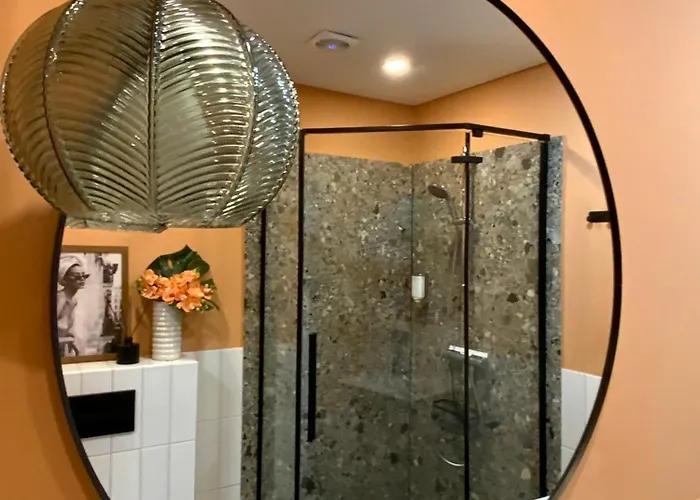 Alejos Apartmentai Druskieniki