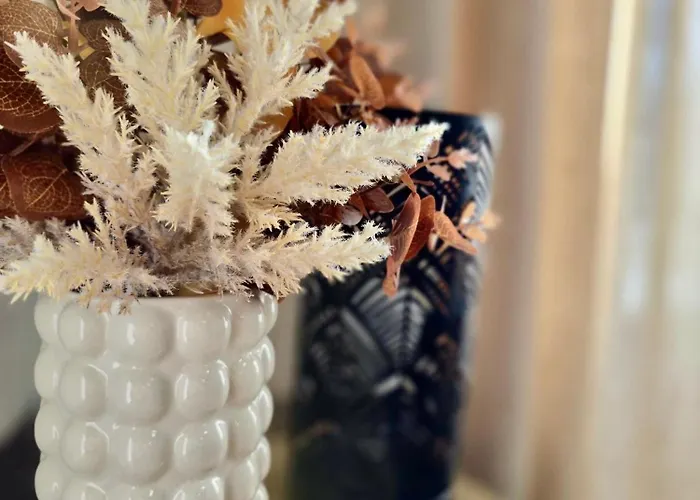 Apartament Alejos Apartmentai *